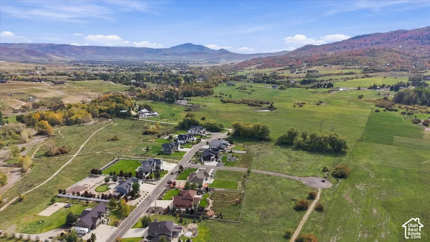 Aerial perspective of a residential subdivision featuring expansive open fields, mature tree lines, and prominent mountain backdrops