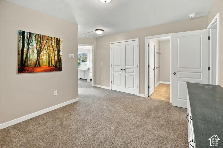 Neutral-toned interior featuring carpeted flooring, double-panel interior doors, and built-in cabinetry with a dark surface