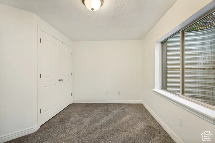 Neutral-toned wall-to-wall carpeting, double-panel closet doors, and an egress window featuring a corrugated metal window well
