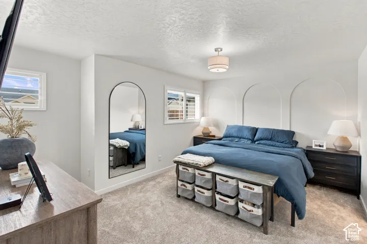 Room featuring arched wall molding, neutral carpeting, flush-mount drum lighting, and a full-length wall-mounted arched mirror
