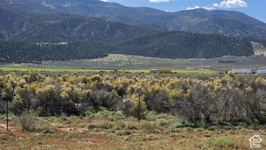 Expansive landscape featuring native vegetation, wire fencing, and prominent mountain backdrops