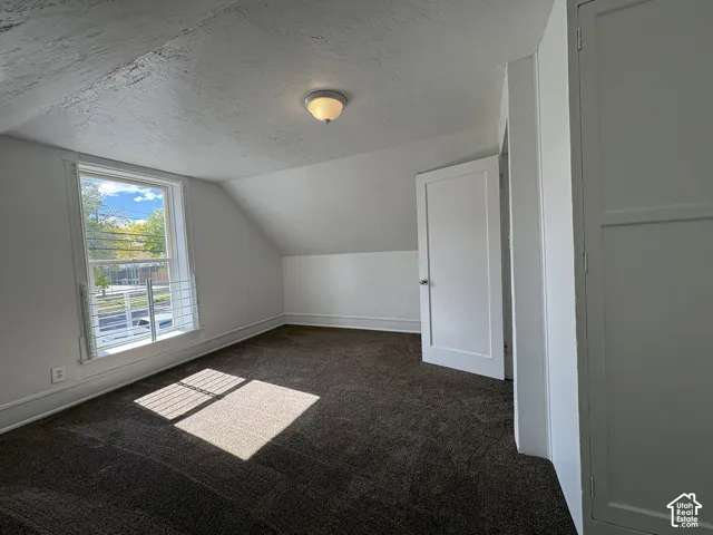 Sloped ceiling architecture featuring dark carpeting, a single-panel interior door, a built-in cabinet, and a window with a horizontal security guard