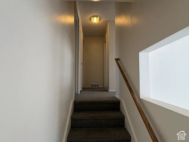 Stairway featuring neutral carpeted steps, a polished wood handrail, and a rectangular architectural cut-out window