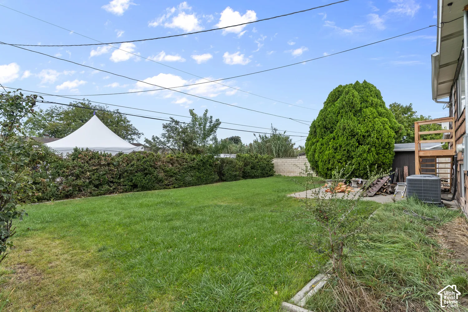 Backyard featuring a grass lawn, mature evergreen hedging, concrete hardscaping, and a raised wood-finish deck