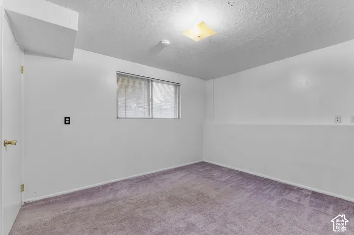 Interior room featuring wall-to-wall carpeting, a sliding window with horizontal blinds, and a centered flush-mount ceiling light fixture