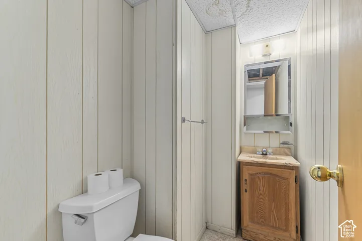 Bathroom featuring wood-finish cabinetry, a drop-in sink with a stone-finish countertop, a rectangular wall-mounted mirror, and vertical paneling