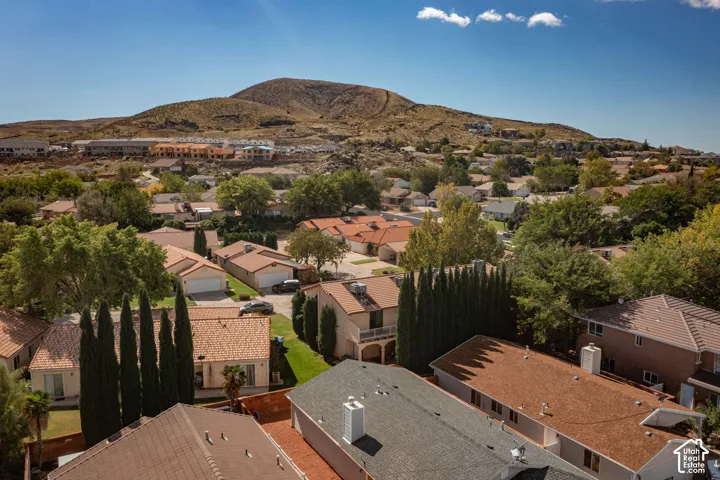 Aerial perspective featuring mature evergreen landscaping, residential rooftops, and prominent mountain backdrop