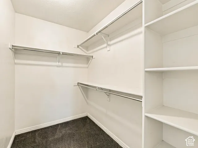 Storage space featuring tiered shelving, built-in hanging rods, and dark carpeting