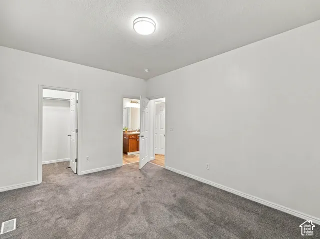 Neutral-toned carpeted flooring, flush-mount ceiling lighting, and multiple interior doors providing access to a walk-in closet and additional space