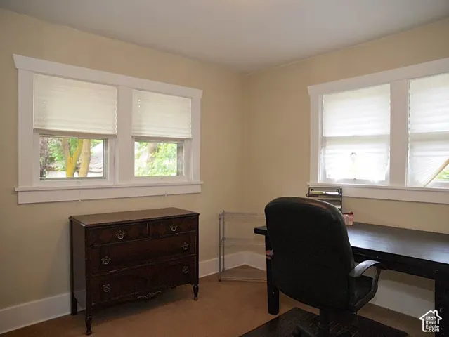 Neutral-toned walls accented by wide-profile window casings and double-hung windows with pleated blinds