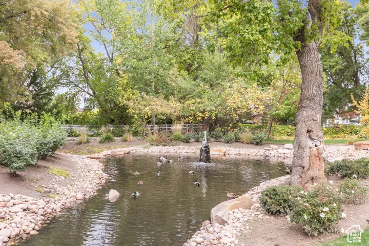 Landscape pond featuring a stone-lined perimeter, a central water fountain, and mature tree-lined borders