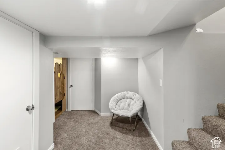 basement living space