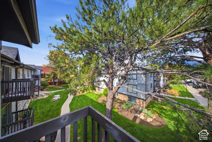 Expansive outdoor space featuring a winding pathway, verdant lawn areas, mature evergreen trees, and surrounding multi-story buildings with private balconies