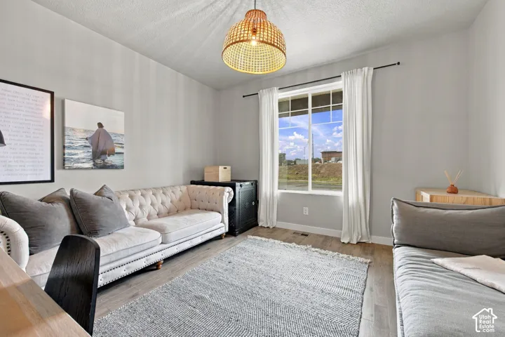 Wood-finish flooring, neutral wall tones, large window with multi-pane grid, and woven dome pendant lighting