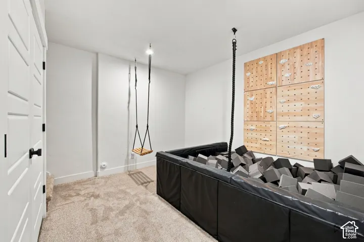 Interior room featuring carpeted flooring, wall-mounted climbing panels, an integrated ceiling-mounted rope, and a built-in enclosure