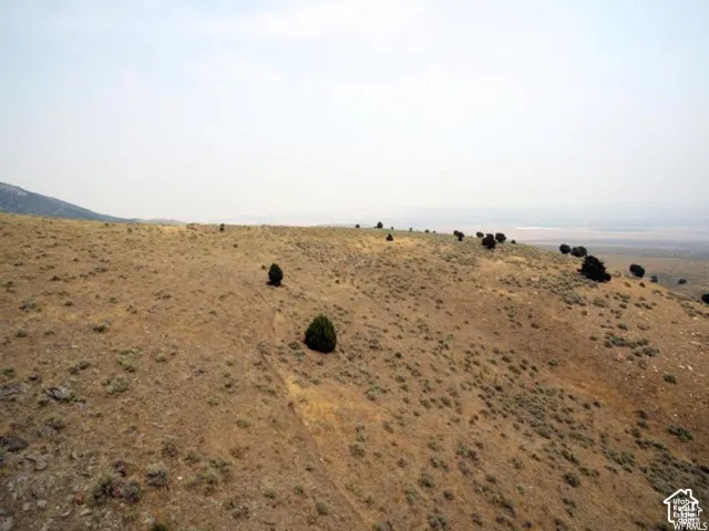 View of yard with a view of rural / pastoral area