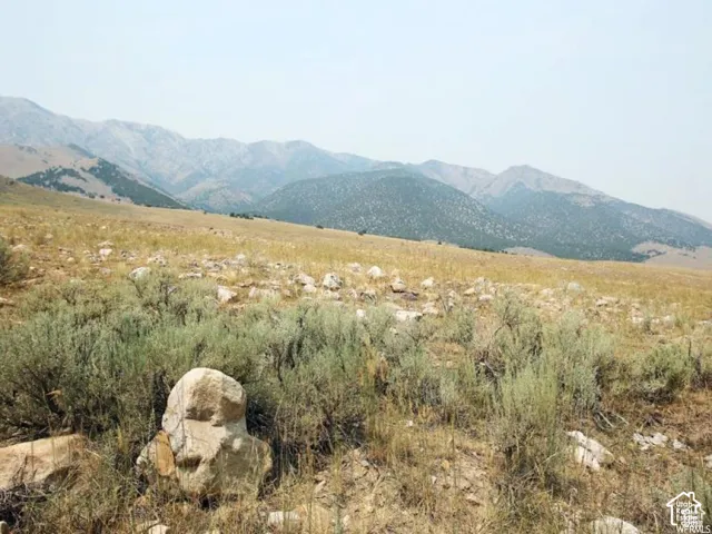 View of mountain background