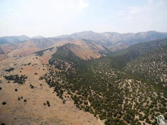 View of mountain background