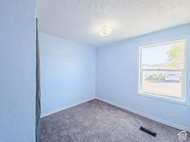 Interior room featuring neutral-toned carpeting, light blue wall paint, a flush-mount ceiling light fixture, and a window with exterior exposure