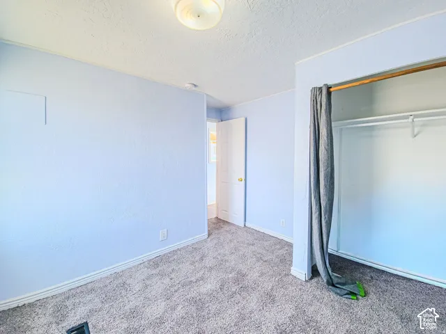 Neutral wall-to-wall carpeting, closet with built-in shelving, and flush-mount ceiling lighting
