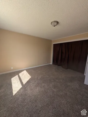 Interior space featuring neutral wall tones, wall-to-wall carpeting, a flush-mount ceiling light fixture, and a large sliding closet door