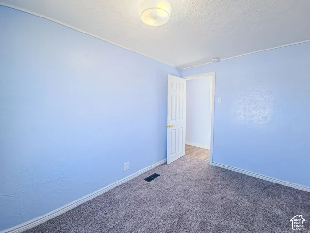 Room featuring neutral-toned carpeting, a six-panel interior door, and a central flush-mount ceiling fixture
