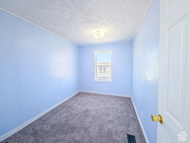 Interior room featuring wall-to-wall carpeting, textured ceiling, single window, and flush-mount ceiling light fixture