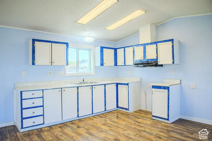 Kitchen featuring wood-finish flooring, white cabinetry with contrast trim, laminate countertops, and dual rectangular fluorescent lighting fixtures