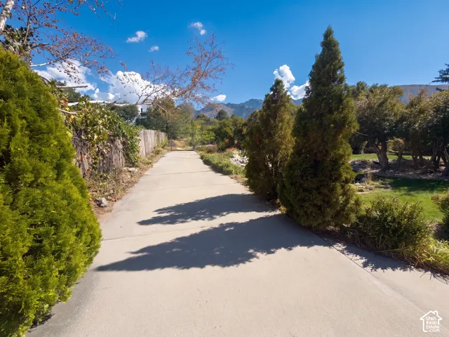 Concrete driveway framed by mature evergreen trees and mountain backdrop