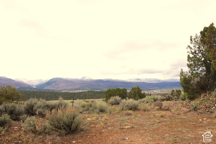 Expansive property featuring native desert vegetation, mature evergreen trees, and prominent mountain backdrops