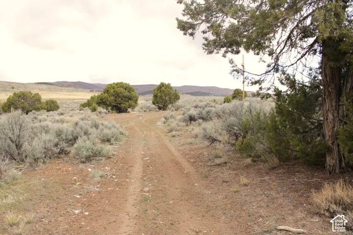 Expansive terrain featuring native sagebrush, scattered juniper trees, and a mountain backdrop
