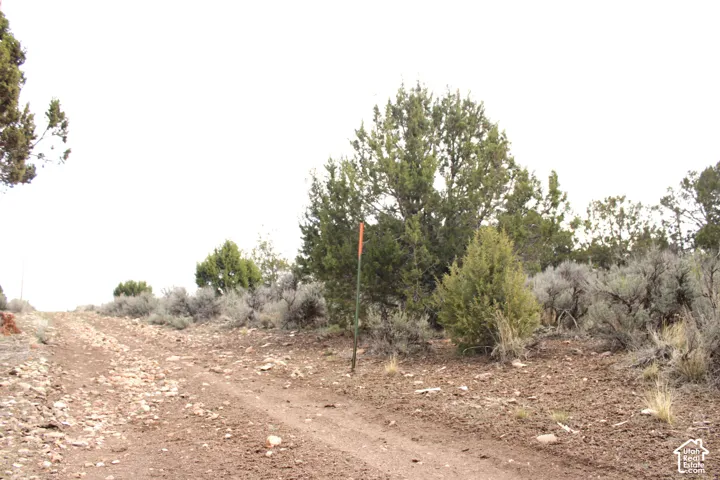 Unimproved parcel featuring native high-desert vegetation, mature juniper trees, and a dirt-surface path
