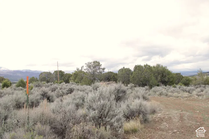 Expansive undeveloped lot featuring native sagebrush, mature juniper trees, and mountain terrain