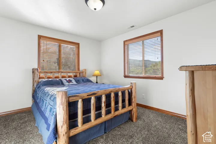 Neutral wall finishes, textured carpeting, dual windows with wood trim, and a ceiling-mounted light fixture