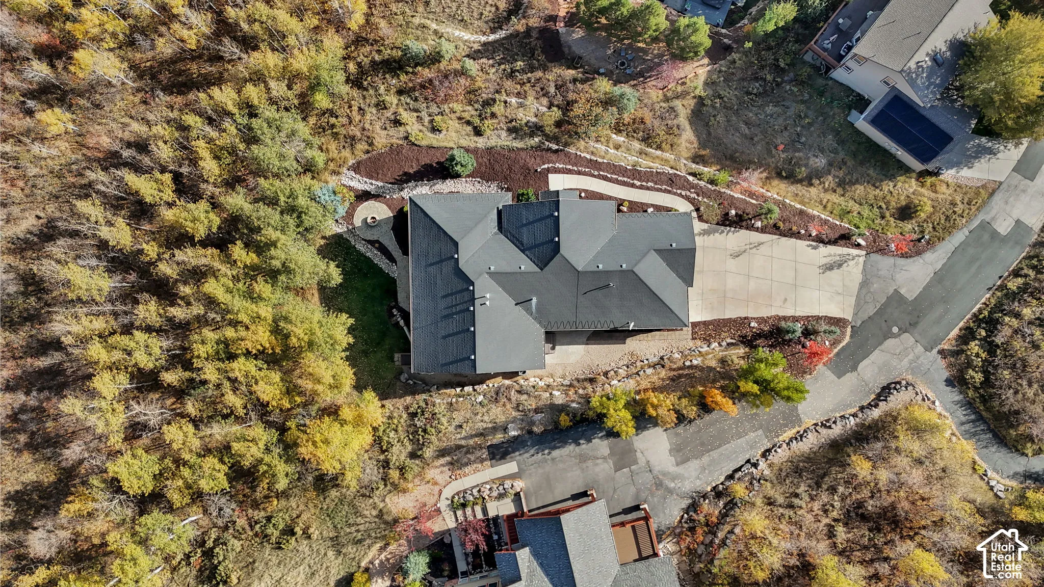 Property with a multi-level roof design, extensive surrounding trees, a paved driveway, and established landscaping