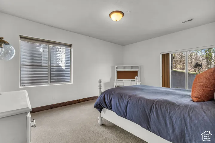 Light-colored carpeting, white painted walls, and an overhead flush-mount light fixture