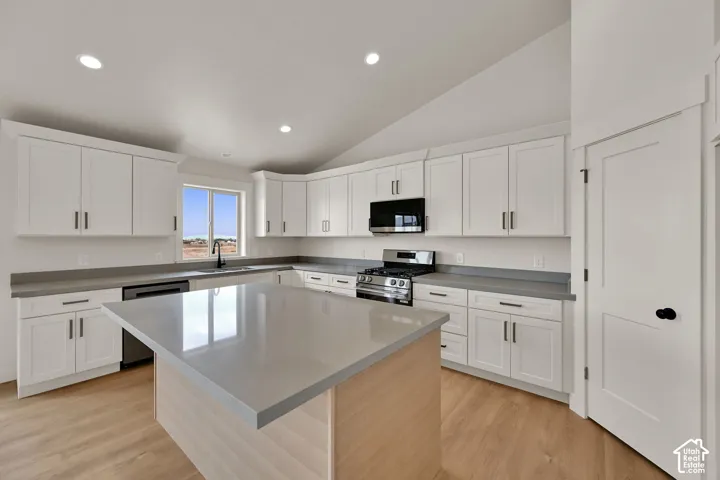 Kitchen featuring shaker-style cabinetry, a central island with quartz countertops, wood-finish flooring, stainless steel appliances, and recessed lighting