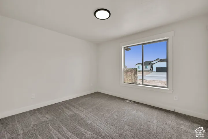 Interior room featuring neutral wall paint, plush carpeting, a low-profile flush-mount ceiling light, and a large sliding window with white trim
