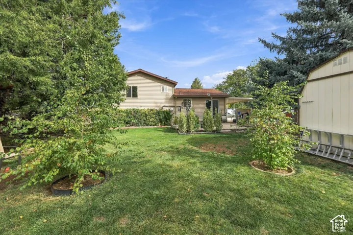 Private backyard featuring a grassy lawn, mature evergreen and deciduous trees, perimeter shrubbery, and a detached storage structure