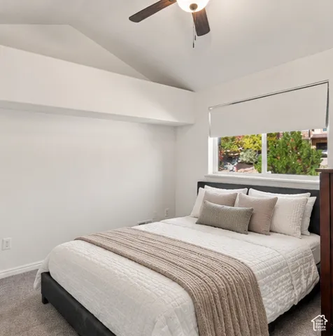 Vaulted ceiling, ceiling fan with integrated lighting, neutral wall-to-wall carpeting, and a wide window with a roller shade