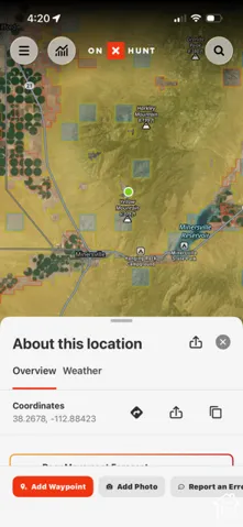 Geographic Information System Map. Displaying topographical data and coordinate markers for the property