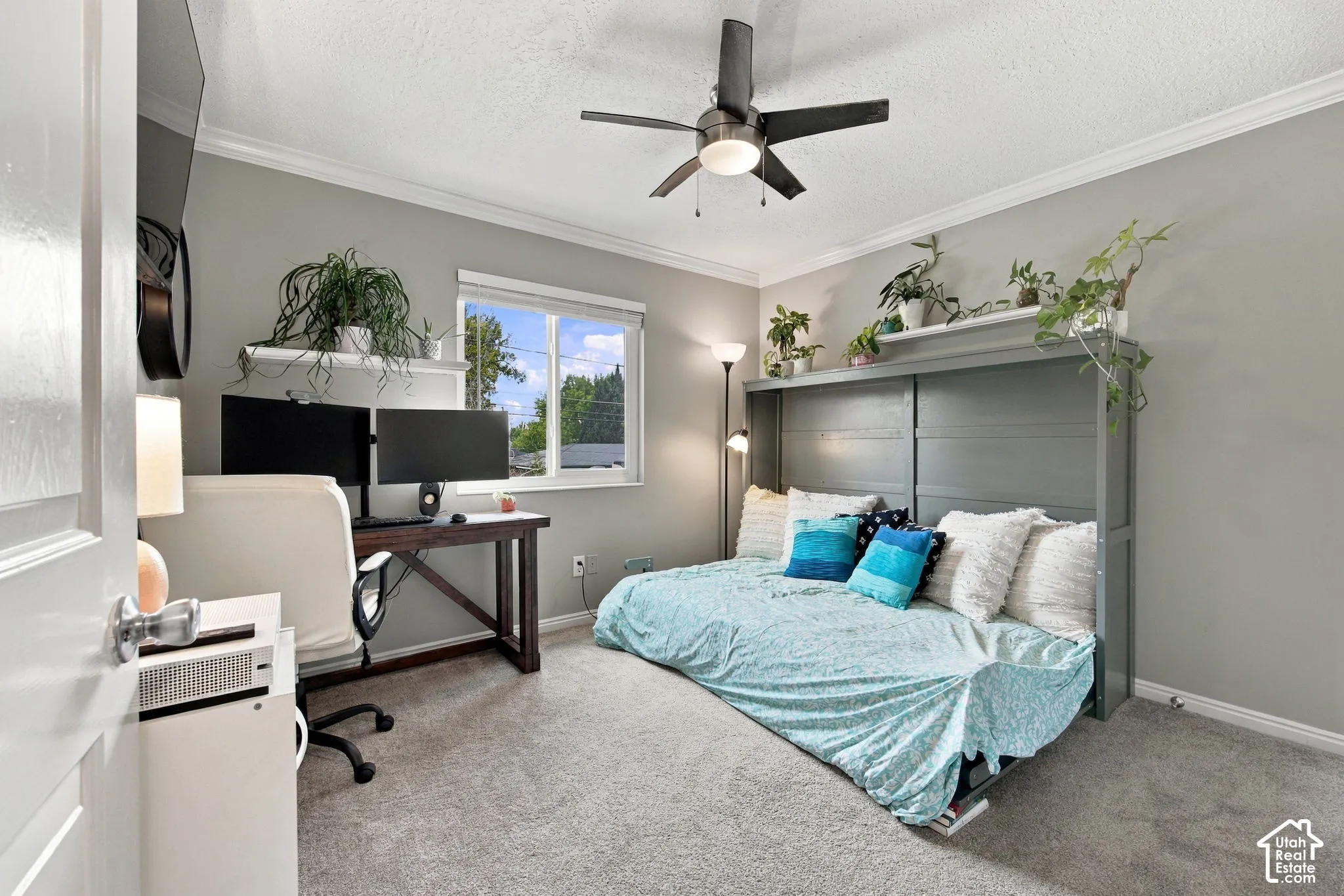 Room featuring neutral wall tones, plush carpeting, a multi-blade ceiling fan with integrated lighting, and crown molding