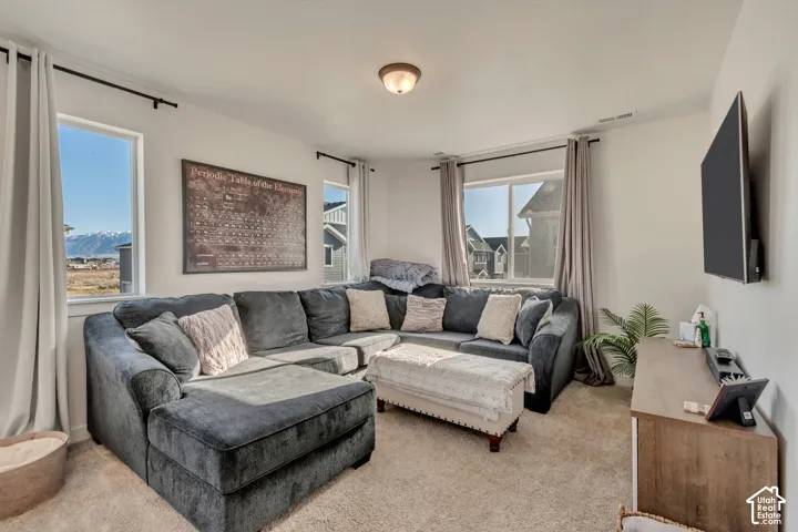 Carpeted flooring, multiple large windows, and a flush mount ceiling light fixture