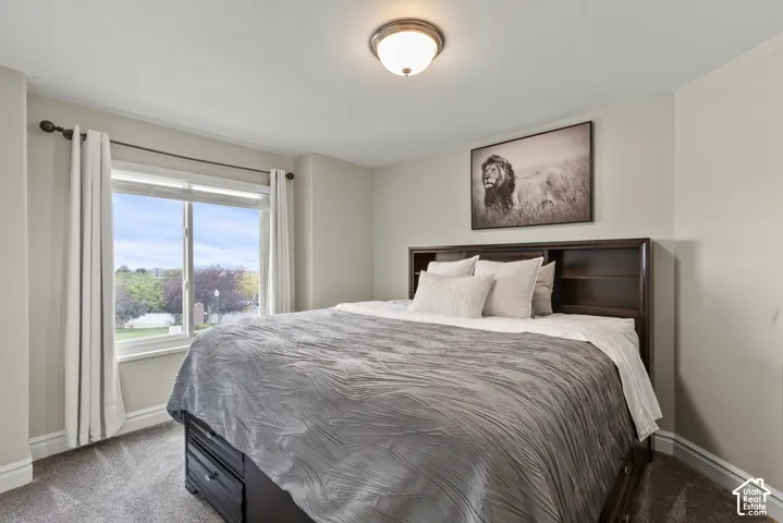Neutral-toned interior featuring neutral wall paint, plush carpeting, a multi-pane window with custom drapery hardware, and a flush-mount overhead lighting fixture