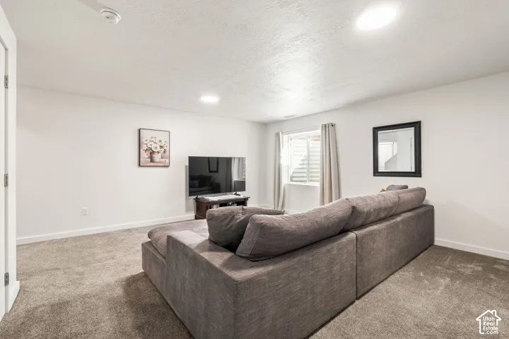 Neutral-toned interior space featuring recessed ceiling lighting, wall-to-wall carpeting, and a recessed window with an egress well