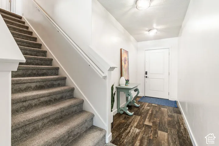 Entryway featuring wood-finish flooring, a white paneled front door, two flush-mount ceiling fixtures, and a staircase with grey carpeting and a painted white handrail