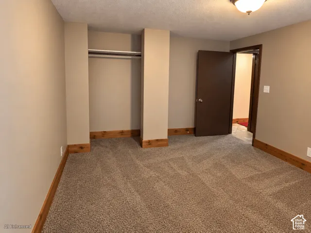 Interior space featuring wall-to-wall carpeting, wood-finish trim, a built-in closet with shelving, and a solid-core door