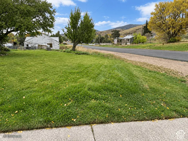 Expansive grassy parcel featuring mature trees, a concrete sidewalk perimeter, and a mountainous backdrop