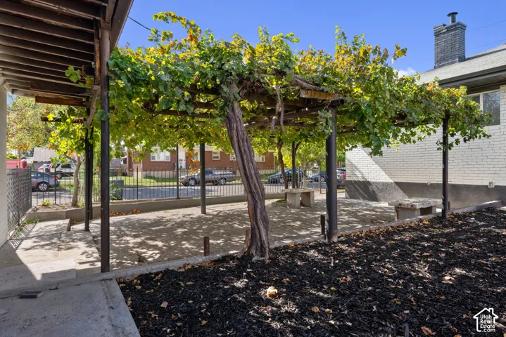 Outdoor patio area featuring a metal-frame arbor, mature grapevines, integrated stone seating, and white brick exterior