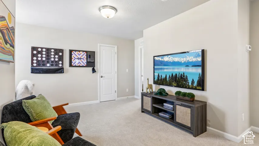 Neutral wall palette featuring wall-to-wall carpeting and a flush-mount ceiling light fixture